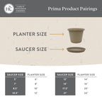 The HC Companies Round Prima Flower Pot Saucers - Plastic Plant Saucer for Outdoors & Indoors - Traditional Plant Pot Trays for Water Drainage -Durable Plant Tray (10.5-inch Sandstone, Pack of 1)