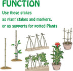 Mininfa Natural Bamboo Stakes 6 Feet, Eco-Friendly Garden Stakes, Plant Stakes Supports Climbing for Tomatoes, Trees, Beans, 20 Pack