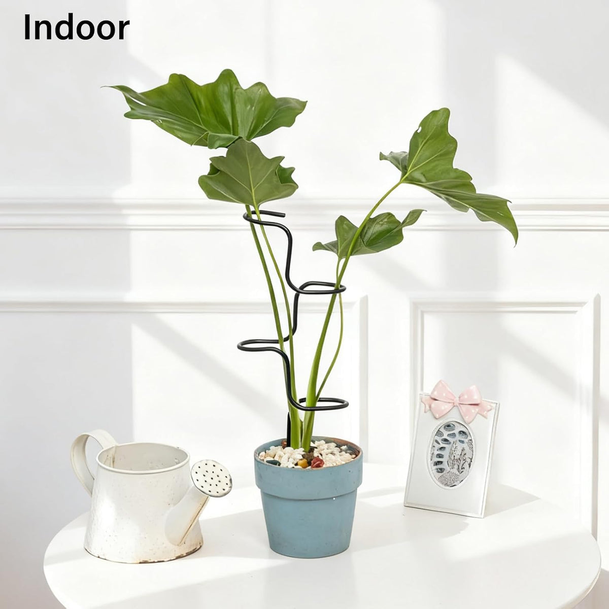 3PCS Indoor Plant Support Stakes - Sturdy Metal Trellis for Garden Flowers & Monstera, Durable & Easy to Use, Perfect for Small to Medium Indoor Plants, Ideal Gift for Plant Lovers!