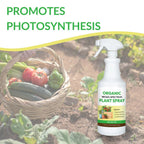 Organic Broad-Spectrum Plant Spray - Foliar Liquid Plant Food in a Spray Bottle for Outdoor Vegetables, Herbs & Flowers | Infused with Soil Enriching Microbes | 32oz, Ready to Use, No Mixing Required