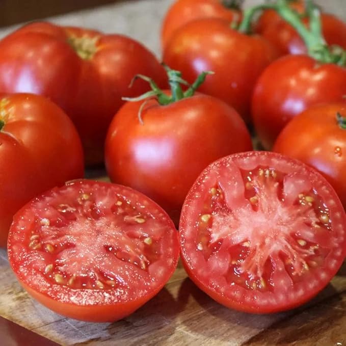 Park Seed Variety of Tomato Seeds, Planting Vegetables, Easy to Grow, Non-GMO, Perfect for Harvesting, Better Boy Plus, Pack of 30