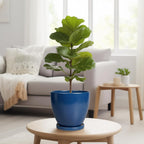Ceramic Plant Pot - 8 Inch Planter for Indoor Outdoor Plants, Round Flower Pots with Drainage and Tray, Home Office Decor, Blue