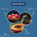 Colonial Candle Blue Agave Scented Jar Candle, Pop of Color Collection, 3 Wick, 14.5 oz - Up to 60 Hours Burn