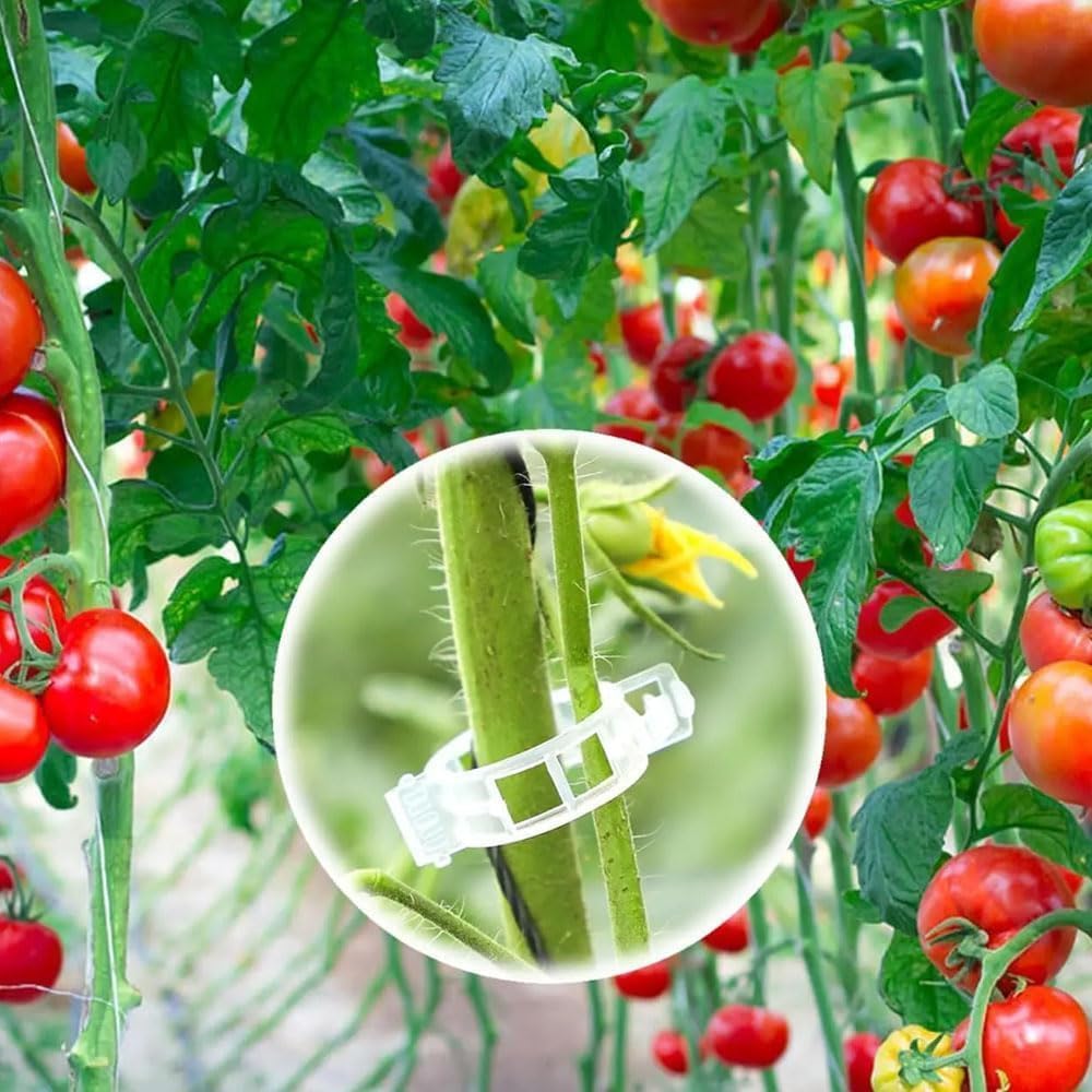 Plant Support Clips, Reusable Garden Clips Plant Holder Clips, Plastic Tomato Vine Grape Clips for String Trellis Plant Clips for Climbing Plants Support Outdoor Indoor Gardening Supplies (50, Green)