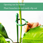 Belit 8 Pack Small Plant Support Plant Stakes, Adjustable Garden Single Stem Support Stake, Planter Support Ring for Orchid, Rose, Peony, Peppers and More, DIY 31.5 inch