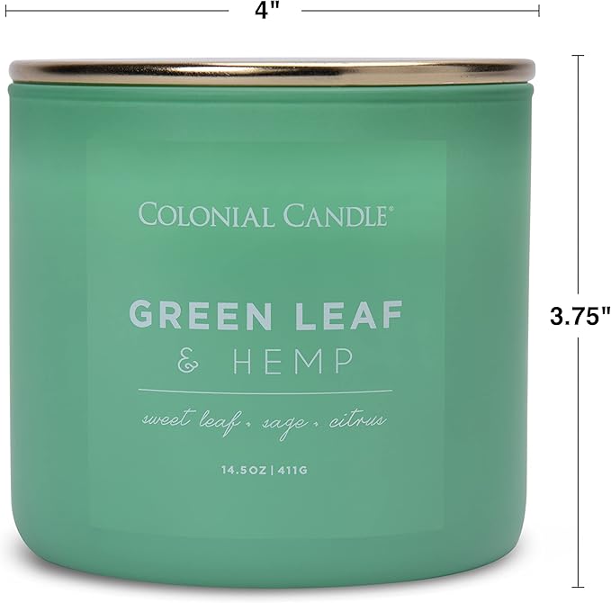 Colonial Candle Green Leaf & Hemp Scented Jar Candle, Pop of Color Collection, 3 Wick, Green, 14.5 oz - Up to 60 Hours Burn