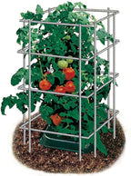 Park Seed Tomato Cages – 48" Tall Heavy-Duty Plant Supports for Tomatoes, Peppers, Cucumbers, and Climbing Vegetables, Foldable Metal Garden Trellis, Pack of 3