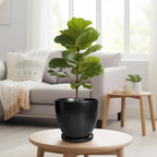 8 Inch Plant Pot - Ceraimc Planter for Indoor Outdoor Plants, Round Flower Pots with Drainage and Tray, House Decor, Black
