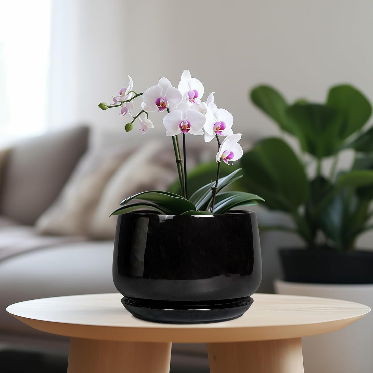 G EPGardening Ceramic Planter 7 Inch - Ceramic Pot for Plants with Drainage and Saucer, Round Plant Pots, Modern Indoor Outdoor Planter, Home Decor, Garden Gifts, Black