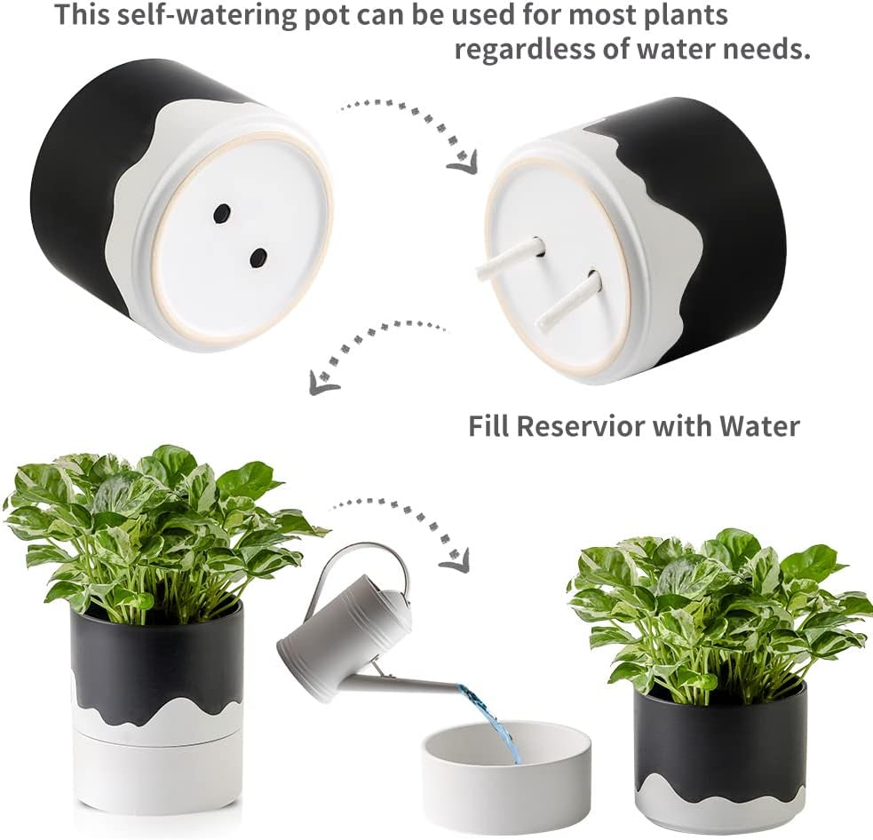 Nihow Self Watering Plant Pot: 6 Inch Ceramic Planter with Drainage Hole & Water Storage Plus for Indoor & Outdoor Plants - Cylinder Round Flower Pot for Succulent/Herbs/Violets - Black & Wave White