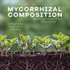DYNOMYCO Granular Mycorrhizal Fungi Inoculant, 340g / 12oz – Boosts Root Growth, Yields & Nutrient Uptake – 900 Propagules/g, Concentrated Granules, & OMRI Listed – Biofertilizer for Plant Growth
