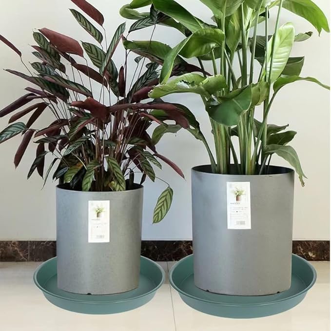 2 Pack of 14 inch Plant Saucer (12.2 Inch Base), 1.7" Depth Tray, Large Deep Garden Plastic Flower Planter Plant Trays for Indoors Outdoor Bath Bath (14", Green)
