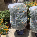 Agfabric Bird Netting 26" Hx30 W Garden Netting Insect Pest Barrier,Plant Cover Fruit Tree Netting Mesh Protection Bag with Drawstring,White