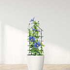 ARIFARO 24'' Metal Garden Trellis Indoor/Outdoor Sturdy Plant Trellis for Potted Plants,House Plants, Climbing Vines, Pack of 4, Black