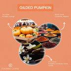 Colonial Candle Gilded Pumpkin Scented Jar Candle, Pop of Color Collection, 3 Wick, Orange, 14.5 oz - Up to 60 Hours Burn