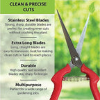 GARDEN GURU Extra Long Stainless Steel Pruner Pruning Shears Clippers Snips – Sharp Bonsai Cutter Trimming Scissors – Straight Blade Garden Scissors Tool – Great for Flowers Herbs - 1 Case (50 Pcs)