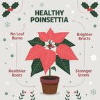 Gardenera Poinsettia Plant Fertilizer - 3-1-2 NPK - Organic Liquid Plant Food for Christmas Flowers and Trees - 32oz Concentrate