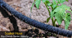 Rocky Mountain Goods Soaker Hose - Heavy duty rubber - Saves 70% water - End cap included for additional hose connect - Great for gardens/flower beds - Reinforced fittings (50-Feet by 5/8-Inch)