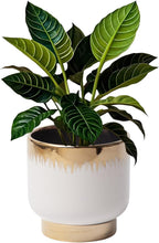 LB White Gold Ceramic Plant Pot for Indoor Plants, Succulent Planters Ceramic Plant Pots, Modern Flower Pots for Living Room Office Home Decor, Round Flower Pot of 4.3 Inch(Plant Not Included)