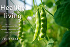 Vegetable Seeds Kit Fruit Seeds for Planting Non-GMO and Heirloom 35 Varieties Seeds for Planting Vegetables 10 Plant Markers