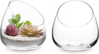 MyGift 5 Inch Premium Clear Glass Air Plant Terrarium, Mini Candy Bowl Jar, Tealight Candle Holder, Succulent Cactus Plant Vase, Set of 2