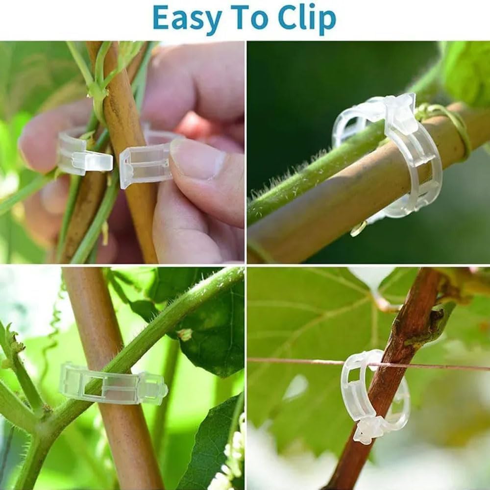 Plant Support Clips, Reusable Garden Clips Plant Holder Clips, Plastic Tomato Vine Grape Clips for String Trellis Plant Clips for Climbing Plants Support Outdoor Indoor Gardening Supplies (100, Black)