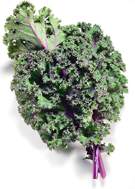 Red Russian Kale Seeds for Planting – Plant & Grow Heirloom Non GMO Red Russian Kale in Home Outdoor Vegetable Garden, Brassica Napus VAR. pabularia – 3 Packets