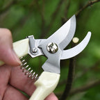 Garden Scissors for Plant, Tip Pruning Shears for Cutting Flowers, Trimming Plants, Bonsai and Fruits Picking (2 PC Bypass Blade Pruner)