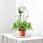 23 Inch Plant Trellis for Climbing Plants Indoor, Sturdy Metal Houseplant Trellis for Potted Plants, Rust-Resistant Plant Support for Monstera Pothos Ivy, Outdoor Garden Trellis 4 Pack