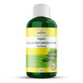 Organic Premium Seaweed Fertilizer for All Bonsai - Liquid Kelp Plant Food - Nutrient-Rich Liquid Plant Food & Soil Enhancer for Growth Control (16 OZ)