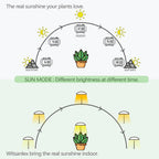 LED Grow Lights for Indoor Plants 4 Pack, Smart USB Small Full Spectrum Plant Lights with Remote, Height Adjustable, Auto On/Off Timer, Ideal for Home Decoration, Black