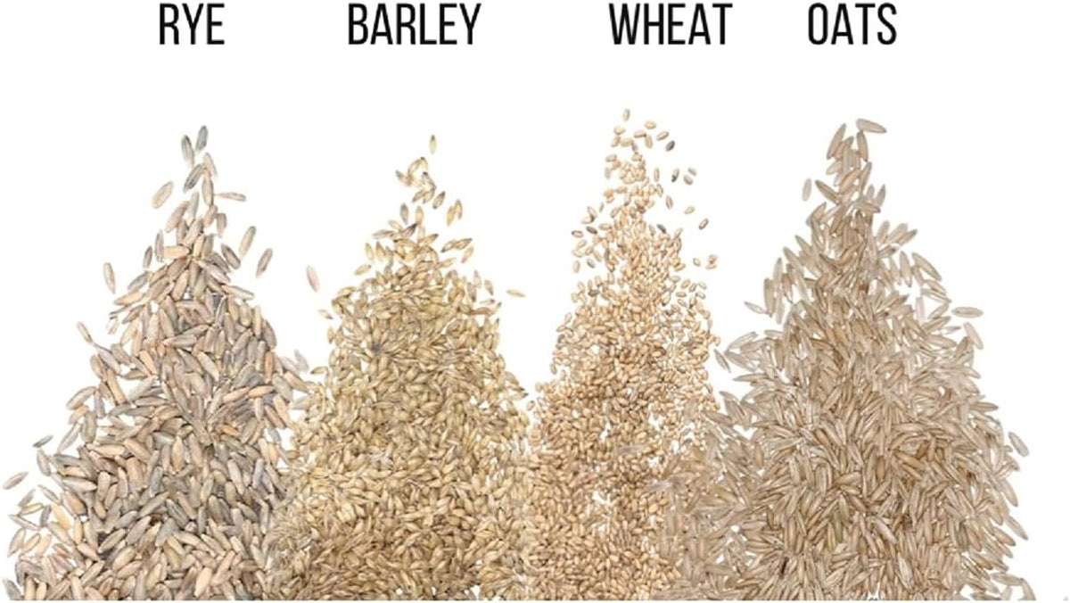 Cat Grass Seeds for Growing | 4 Way Blend, Rye, Wheat, Oats and Barley | Made in USA, Ships from Iowa. (2 Pounds)