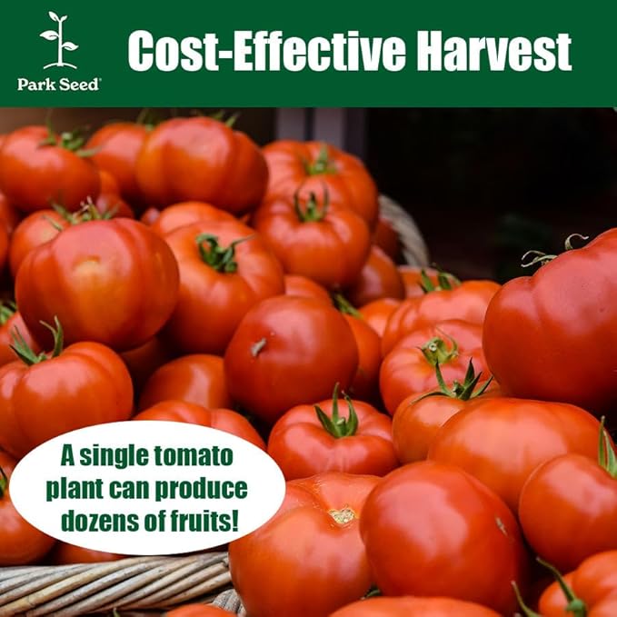 Park Seed Variety of Tomato Seeds, Planting Vegetables, Easy to Grow, Non-GMO, Perfect for Harvesting, Whopper CR Improved Hybrid, Pack of 30