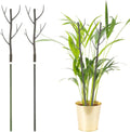 uxcell 2 Pcs Plant Support Stakes, 27.5" Twig Plant Stem Support Structures Garden Branches Plants Supports for House Potted Monstera Plants, Brown