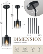 Pendant Light Fixture