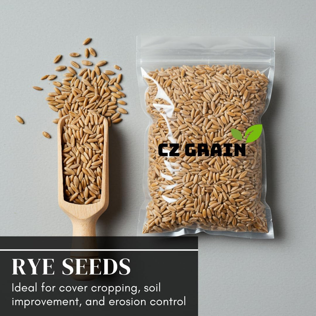 Winter Rye Seeds – Non-GMO Rye Grain Cover Crop – 25 Pound Bag for Soil Health & Weed Control