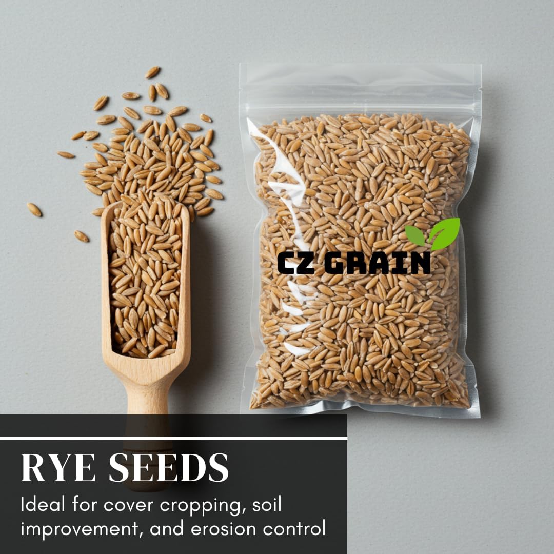 Perennial Ryegrass Seeds for Planting - Premium Quality Non-GMO Grass Seed for Lawns, Pastures, and Sports Fields (1/2 Pound)