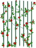 72-Inch Garden Stakes, 5/16-Inch Dia Plant Stakes for Orchid Sunflower, 50pack 6ft Robs