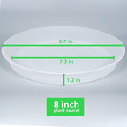 6 Pack of 8 inch Plant Saucer Clear, Heavy Duty Plastic Plant Water Tray 8 inch Round, Flower Plant Saucers for Indoors No Holes, Plant Dishes Saucer for Planter 7"/8" (8", Clear)
