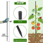 AAGUT 40" Rebar Stakes 1/2" 10 Pcs, Straight Ground Stakes Heavy Duty Landscpe Timber Spikes with Chisel Point End for Cement, Concrete Form, Plant Support, Black