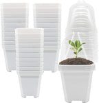 PURPLE STAR 1N 30 Packs Plant Nursery Pots with Humidity Dome, Small Gardening Pots, Square Planting Containers Cups for Succulents Seedlings Cuttings Transplanting