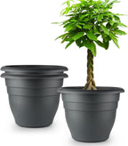 Large Plastic Pots for Plants, 16 Inch Planters for Outdoor Plants, Durable and Lightweight Flower Pots, Large Outdoor Planters(Pack of 3, Gray)