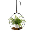 Hanging Planter for Indoor Plants, Black Plant Hanger Indoor with Sturdy Wood Base, Modern Boho Macrame Plant Hanger for 3-5.5 Inch Pot, Hanging Wall Ceiling Window Home Decor (Pots Not Included)