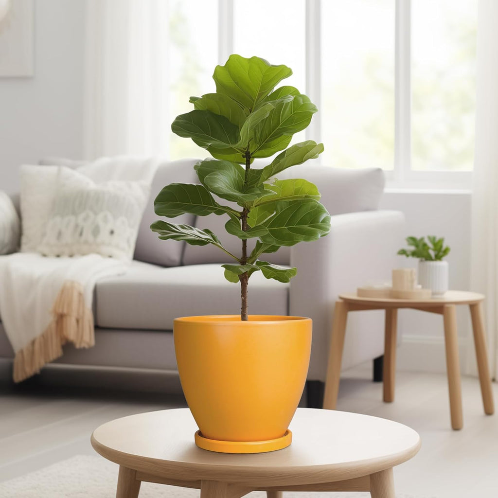 Ceramic Plant Pot - 8 Inch Planter for Indoor Outdoor Plants, Round Flower Pots with Drainage and Tray, Home Office Decor, Orange