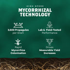DYNOMYCO Spark WP Mycorrhizal Fungi, 6oz Wettable Powder – 3-In-1 Root Enhancer Amplifies Nutrient Uptake & Yield – Treats 38 Plants, Indoor/Outdoor Bio-Stimulant – Dissolves Fast in Seed Starter Soil