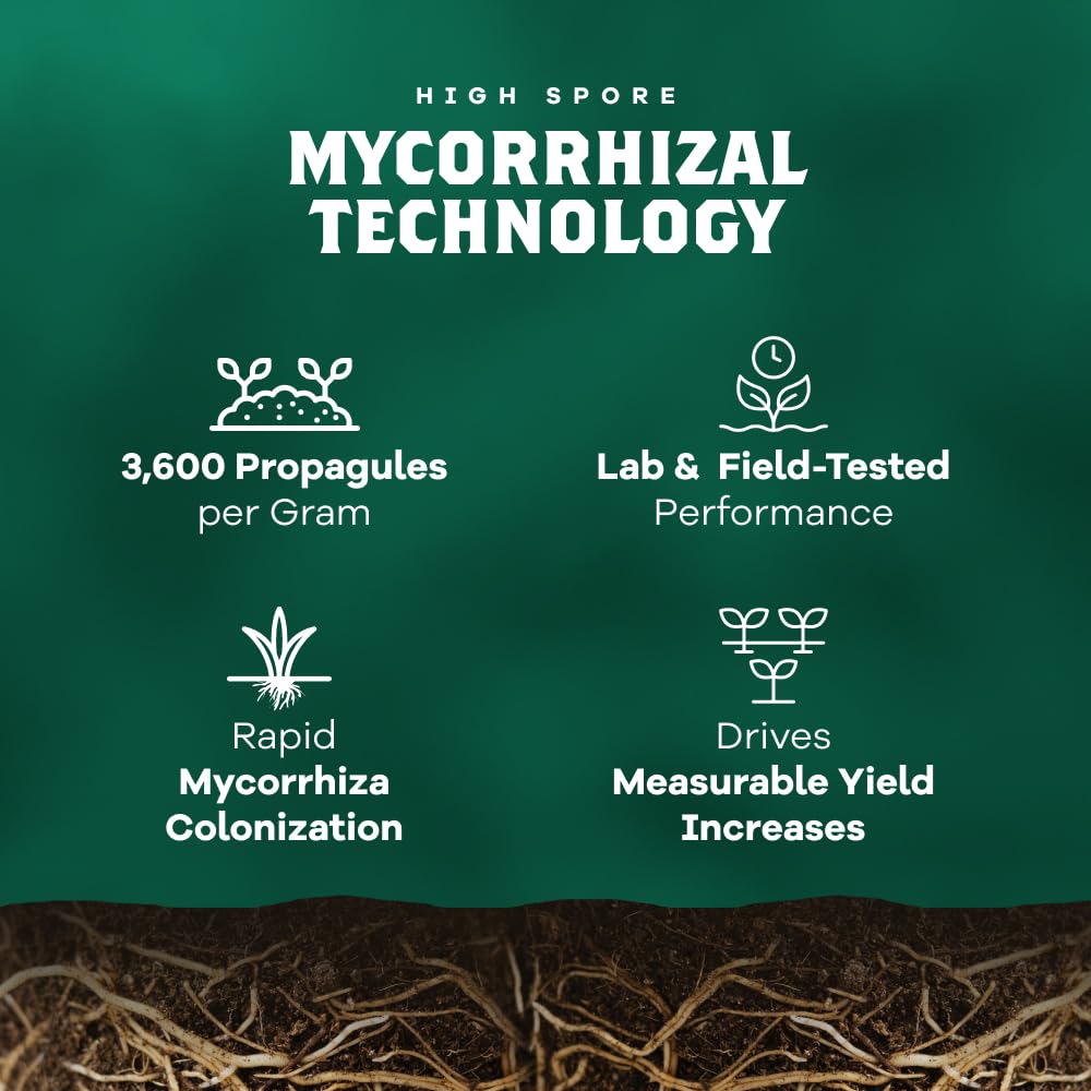 DYNOMYCO Spark WP Mycorrhizal Fungi, 6oz Wettable Powder – 3-In-1 Root Enhancer Amplifies Nutrient Uptake & Yield – Treats 38 Plants, Indoor/Outdoor Bio-Stimulant – Dissolves Fast in Seed Starter Soil