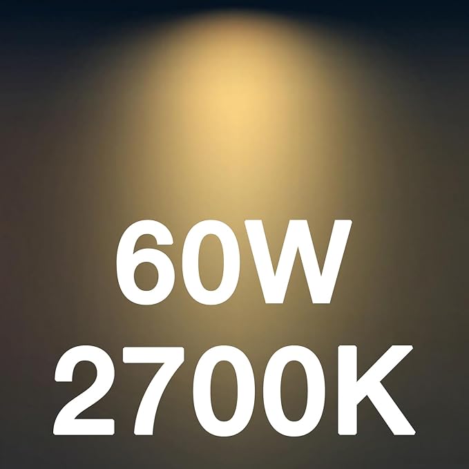 FLSNT B11 E12 LED Candelabra Bulbs 60W Equivalent, Dimmable LED Candle Light Bulbs, 2700K Soft White (Warm Light), Pack of 12