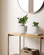 LE TAUCI Ceramic Plant Pots, 5.1 + 6.4 Inch Footed Pots for Plants, Modern Flower Pots for Home and Office, Indoor Planters with Drainage, Reactive Glaze White