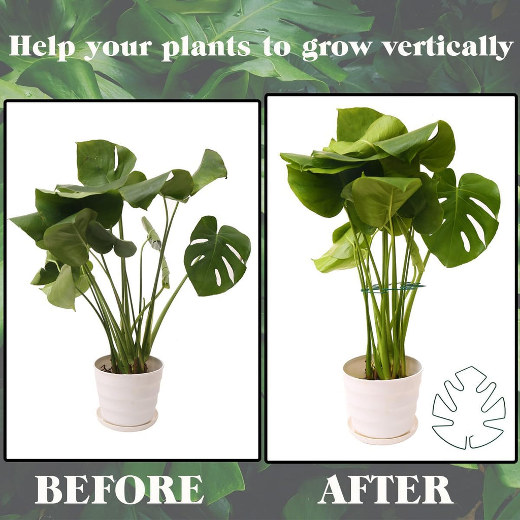 Spiritlele 5 Pcs Green Plant Stem Support Holder Set Monstera Plant Support Clamp Growth Accessories for Indoor Plants Small