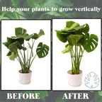 Spiritlele 5 Pcs Green Plant Stem Support Holder Set Monstera Plant Support Clamp Growth Accessories for Indoor Plants Small